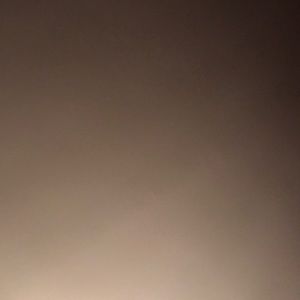 Meet your Posher, Sal